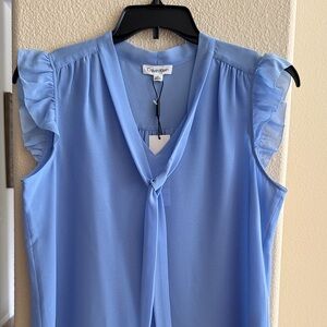 Calvin Klein Sky Blue Tie-Neck Ruffle Sleeve Blouse